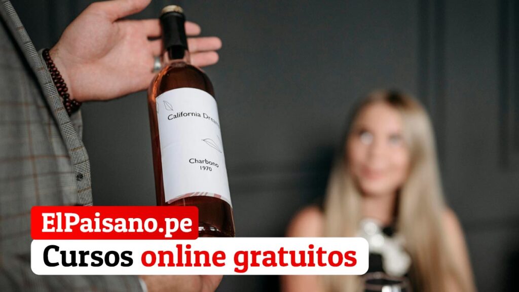 Curso de vinos para comercio y distribución con Diploma de La Rioja