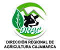 Convocatorias CAS en DIRECCIÓN DE AGRICULTURA CAJAMARCA: RESPONSABLE FORESTAL