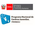 Convocatorias CAS en PROGRAMA NACIONAL DE CENTROS JUVENILES PRONACEJ: PSICÓLOGO