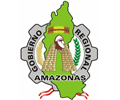 GOBIERNO REGIONAL DE AMAZONAS