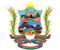MUNICIPALIDAD DE CARAVELÍ