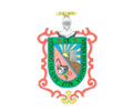 MUNICIPALIDAD DISTRITAL DE PALCA