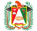 MUNICIPALIDAD DE POZUZO