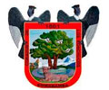 MUNICIPALIDAD DE POMABAMBA