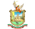 MUNICIPALIDAD PROVINCIAL SAN MIGUEL