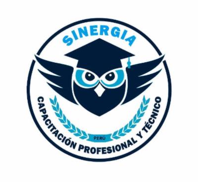 SINERGIA DESARROLLO PROFESIONAL S.R.L.