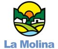 MUNICIPALIDAD LA MOLINA