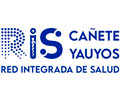RED DE SALUD CAÑETE YAUYOS
