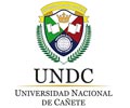 UNIVERSIDAD DE CAÑETE(UNDC)
