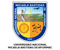 UNIVERSIDAD MICAELA BASTIDAS